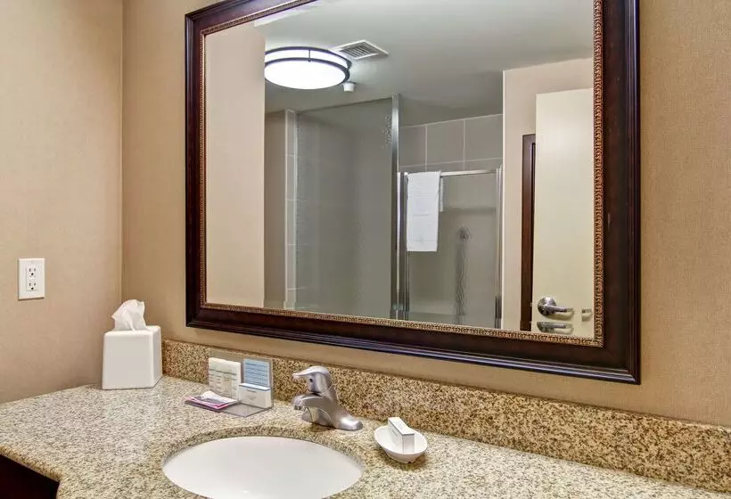 ホテル Hampton Inn By Hilton Sudbury