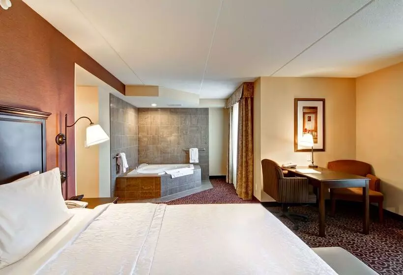 ホテル Hampton Inn By Hilton Sudbury