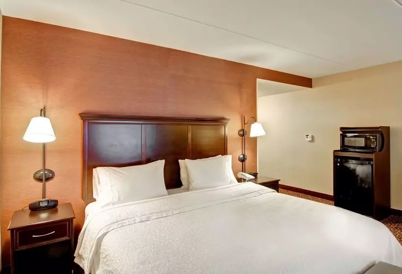 ホテル Hampton Inn By Hilton Sudbury