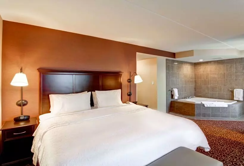 ホテル Hampton Inn By Hilton Sudbury