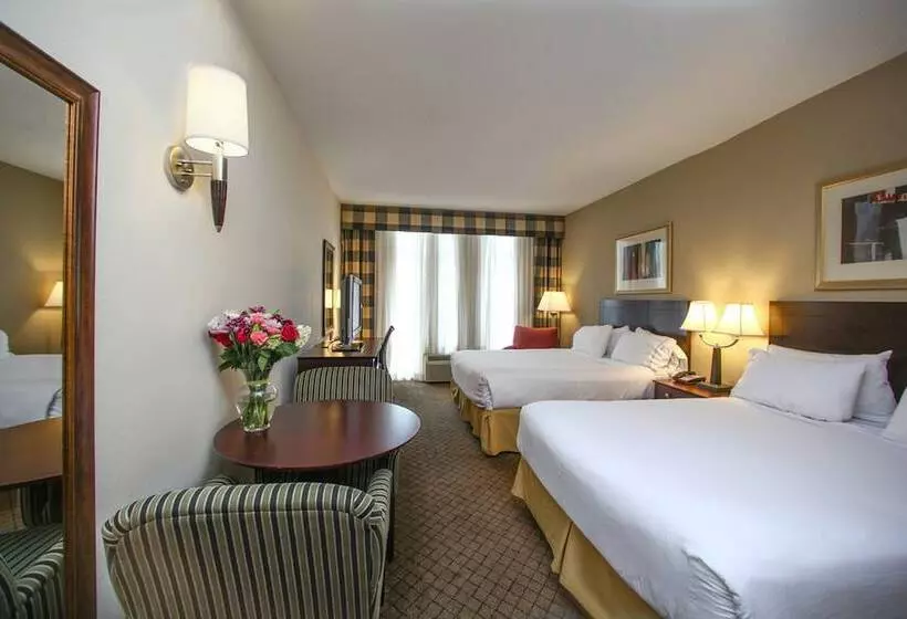 Holiday Inn Express Hotel & Suites Atlanta/emory University Area, An Ihg