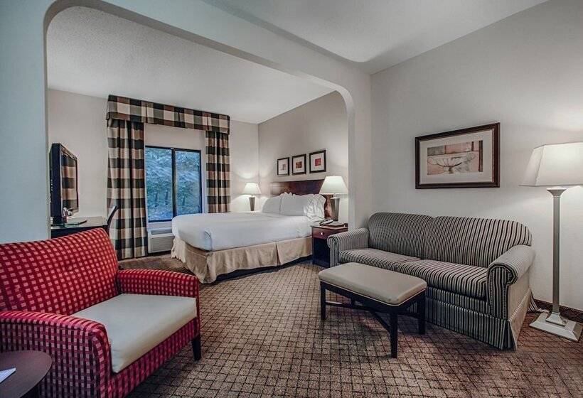 Holiday Inn Express Hotel & Suites   Atlanta/emory University Area, An Ihg