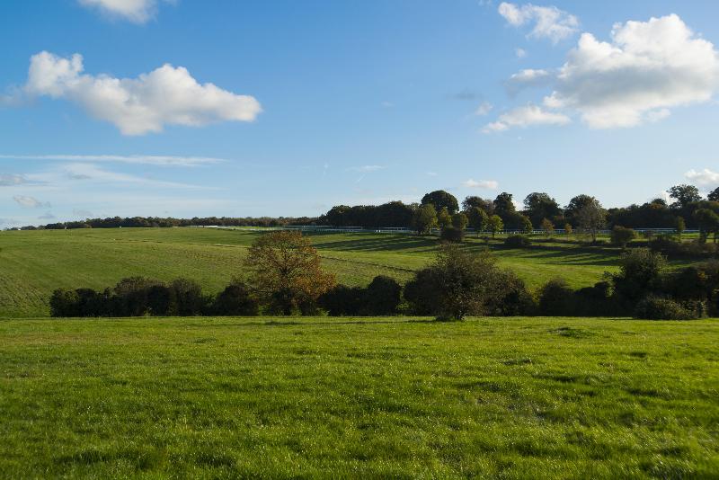 فندق Holiday Inn Express London   Epsom Downs, An Ihg