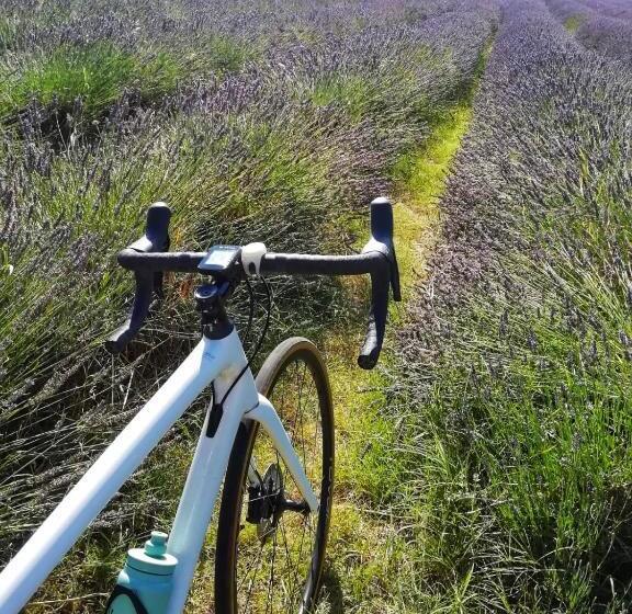 בית מלון כפרי Ma