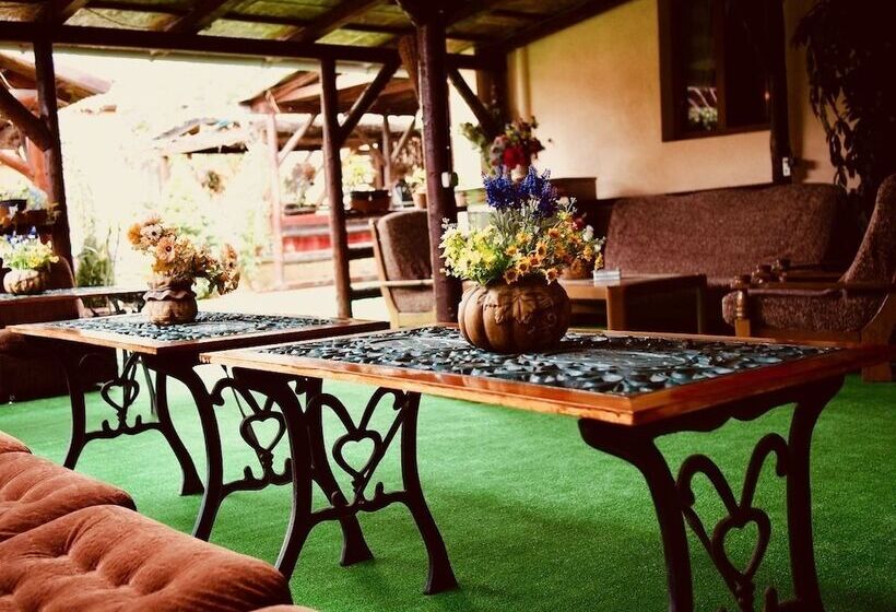 호텔 Pensiunea Venus