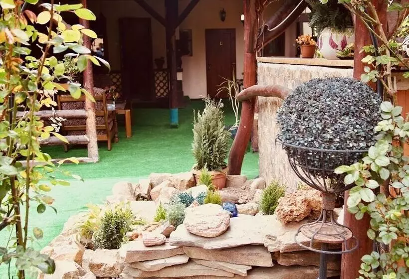 ホテル Pensiunea Venus