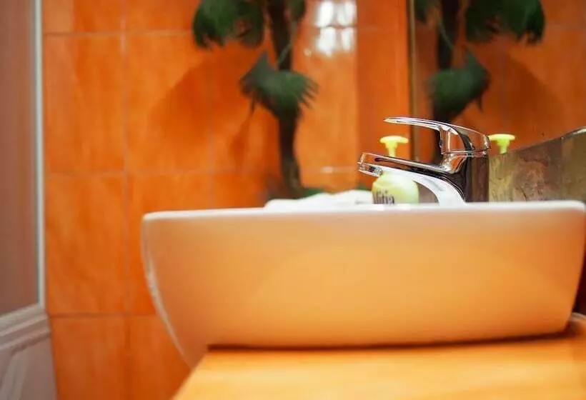 ホテル Pensiunea Venus