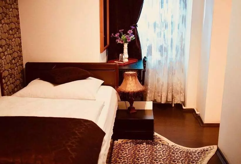 ホテル Pensiunea Venus