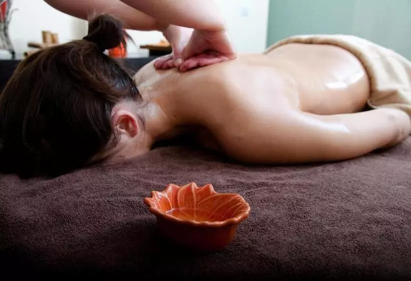 בית מלון כפרי & Spa Alfandega Da Fe