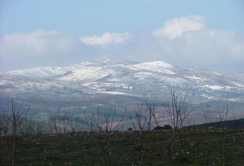 فندق & Spa Alfandega Da Fe