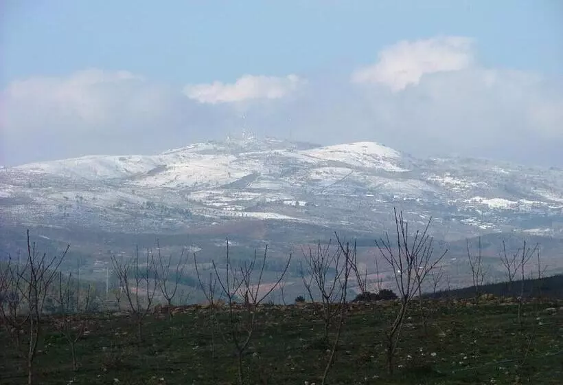 בית מלון כפרי & Spa Alfandega Da Fe