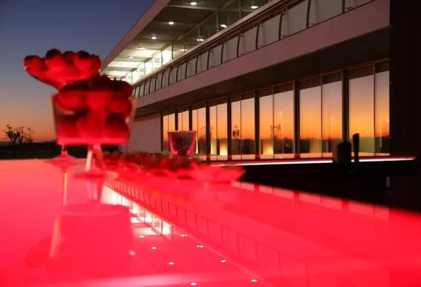 בית מלון כפרי & Spa Alfandega Da Fe