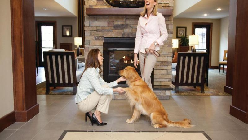 فندق Staybridge Suites Houston West Energy Corridor, An Ihg