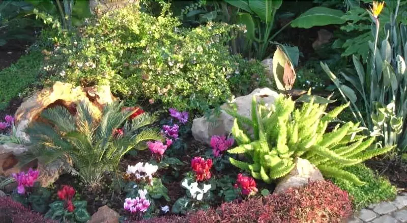 Quinta Do Morgado Apartamentos Turisticos Monte Da Eira