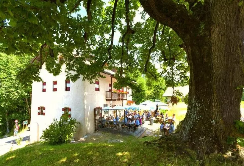 Hotelli Zur Kirche