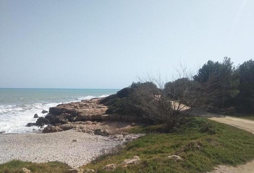 Apartamentos Edison 3000