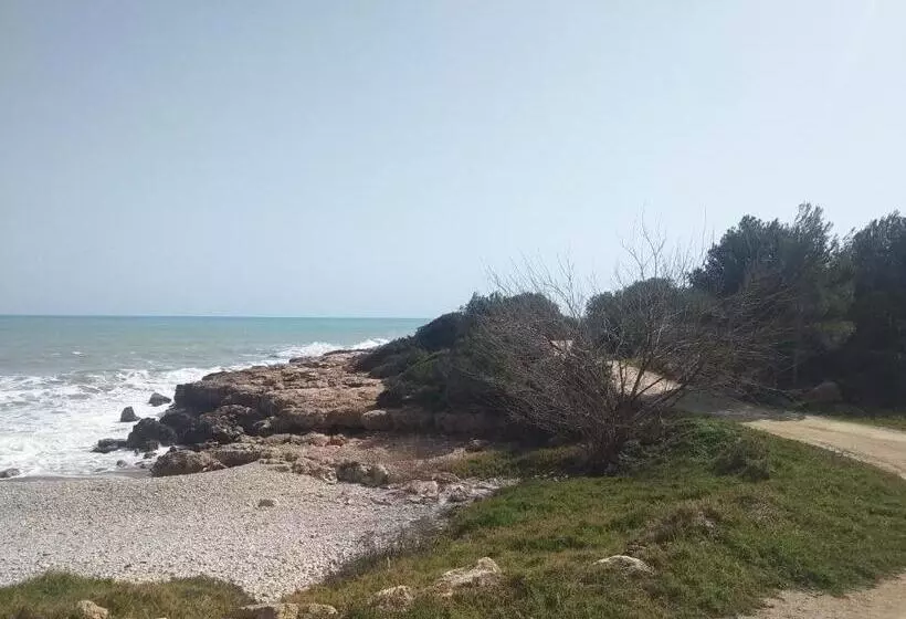 Apartamentos Edison 3000