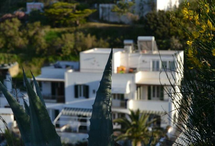 住宿加早餐  Casa Baia Luna