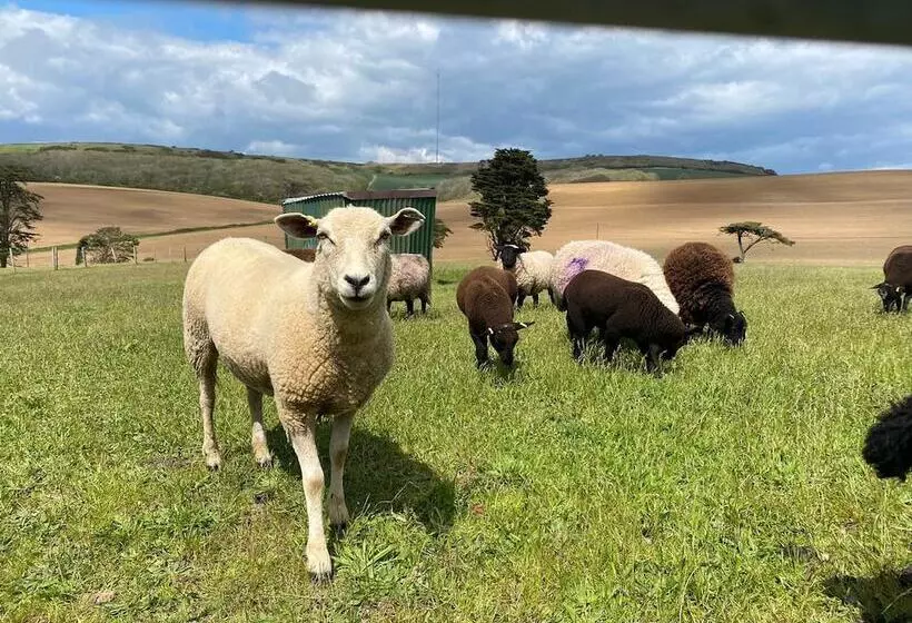 Bike Shed, 1 Bed Cottage, Sleeps 2, Pet Friendly