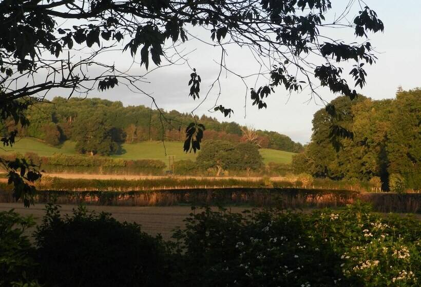 Cosy 5m Bell Tent Glamping In Rural Herefordshire