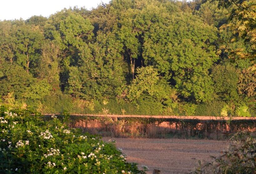 Cosy 5m Bell Tent Glamping In Rural Herefordshire