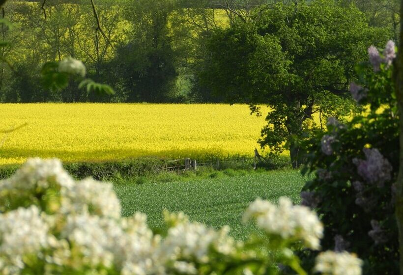 Cosy 5m Bell Tent Glamping In Rural Herefordshire