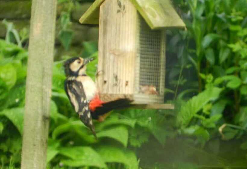 Cosy 5m Bell Tent Glamping In Rural Herefordshire