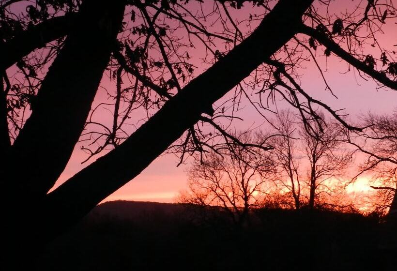 Cosy 5m Bell Tent Glamping In Rural Herefordshire