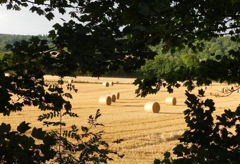 Cosy 5m Bell Tent Glamping In Rural Herefordshire