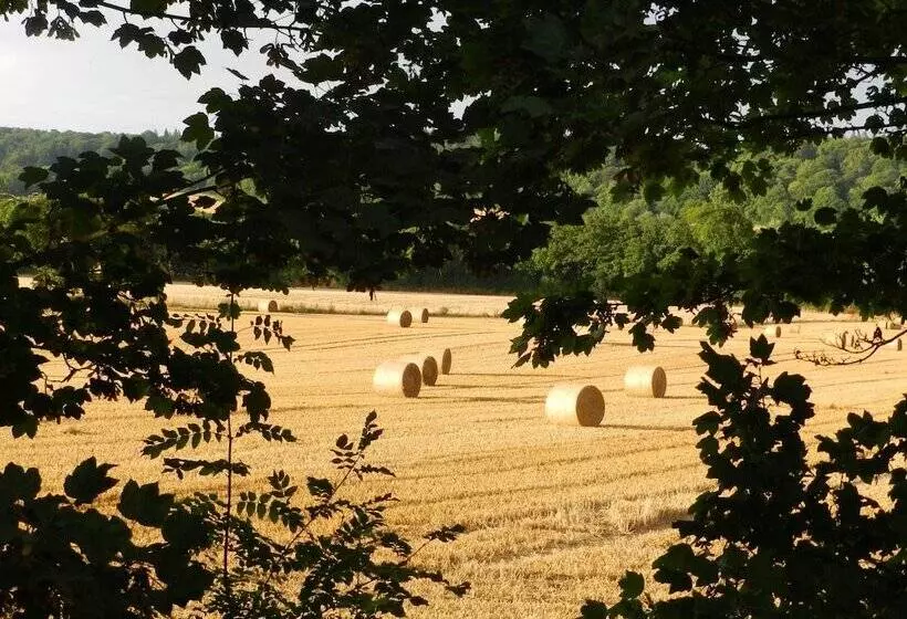 Cosy 5m Bell Tent Glamping In Rural Herefordshire