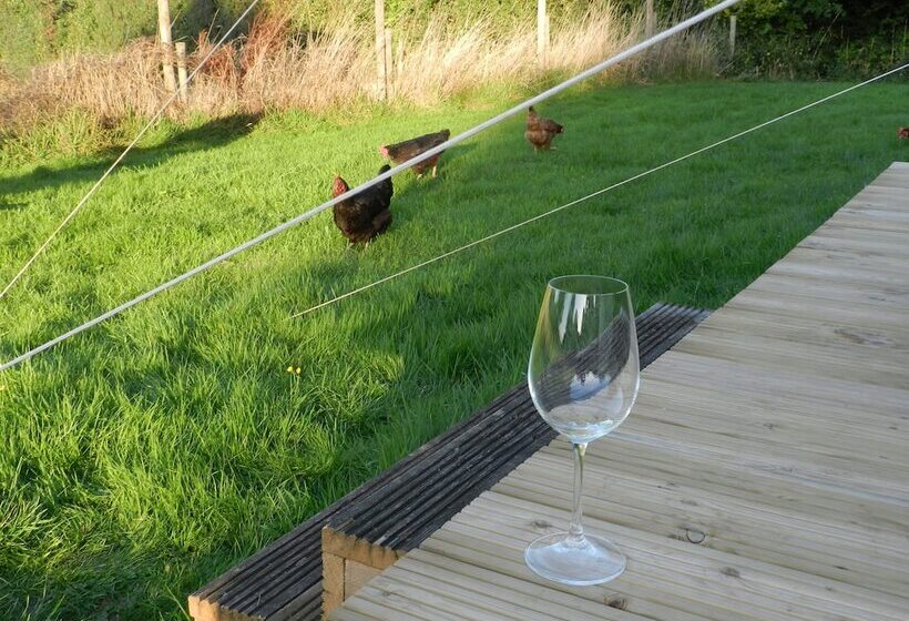 Cosy 5m Bell Tent Glamping In Rural Herefordshire