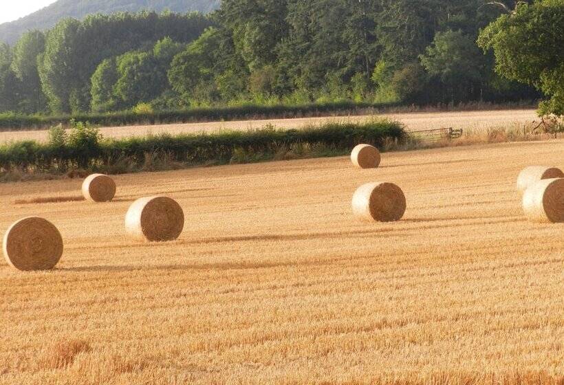 Cosy 5m Bell Tent Glamping In Rural Herefordshire