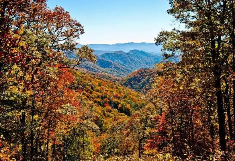 Mountain Hideaway By Jackson Mountain Rentals