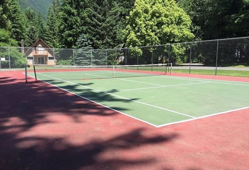 Mt Baker Lodging Cabin 35 Sleeps 6