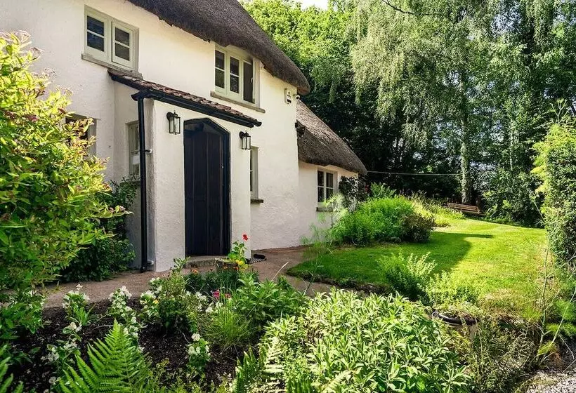 Weeke Brook   Quintessential Thatched Luxury Devon Cottage
