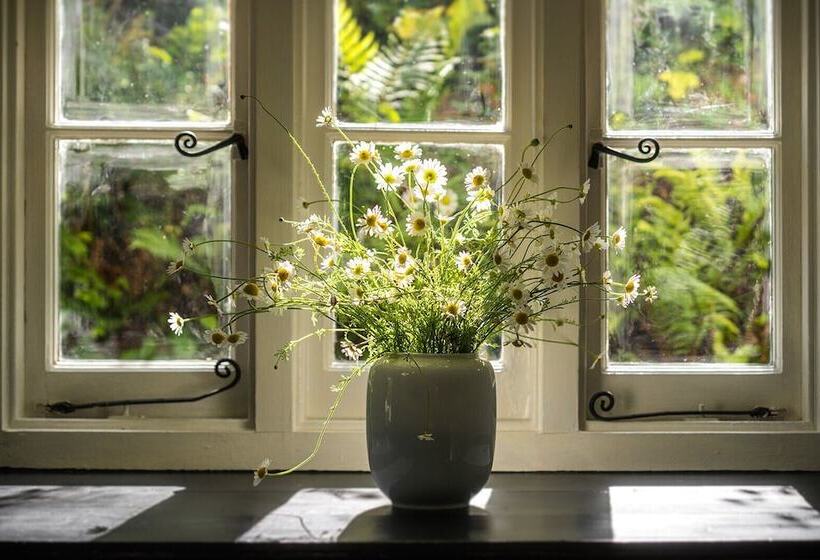 Weeke Brook Quintessential Thatched Luxury Devon Cottage