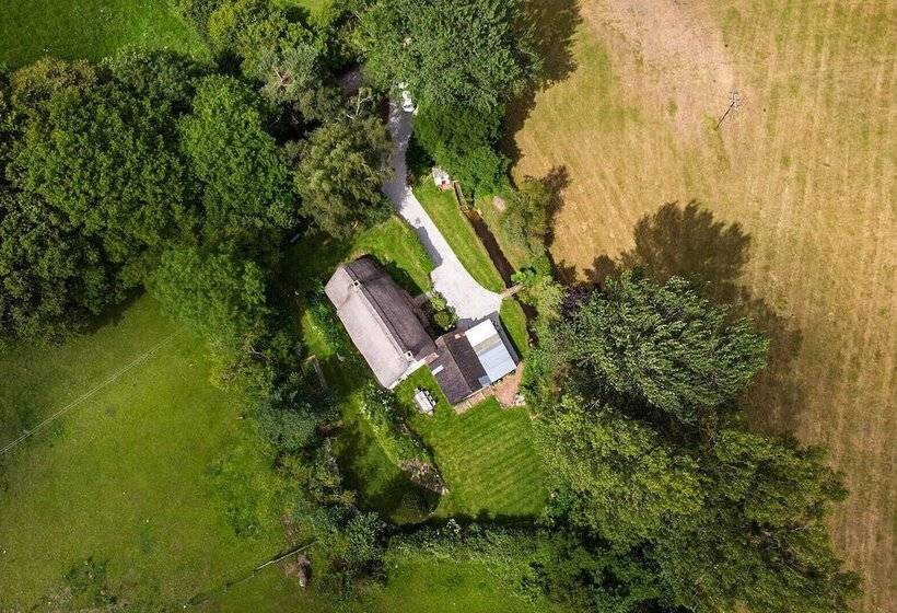 Weeke Brook Quintessential Thatched Luxury Devon Cottage