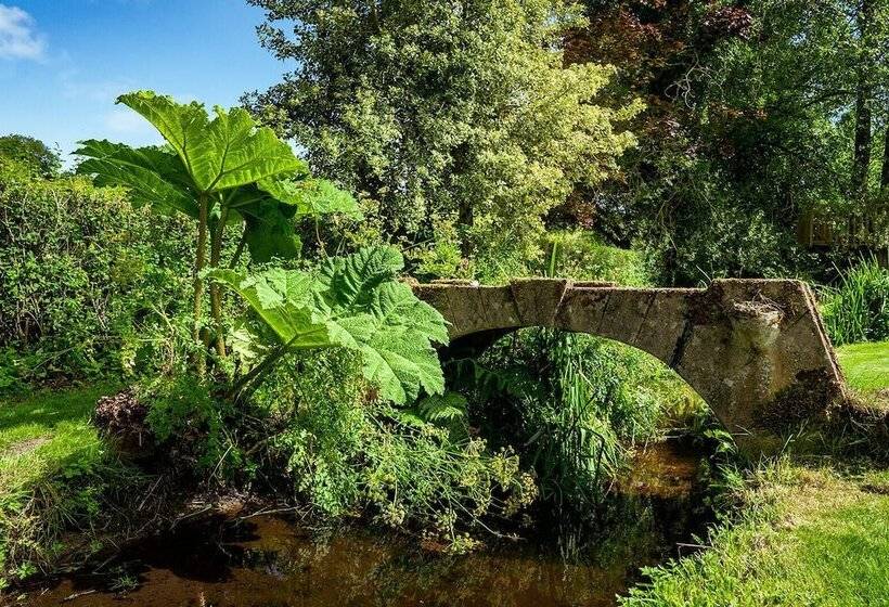 Weeke Brook Quintessential Thatched Luxury Devon Cottage