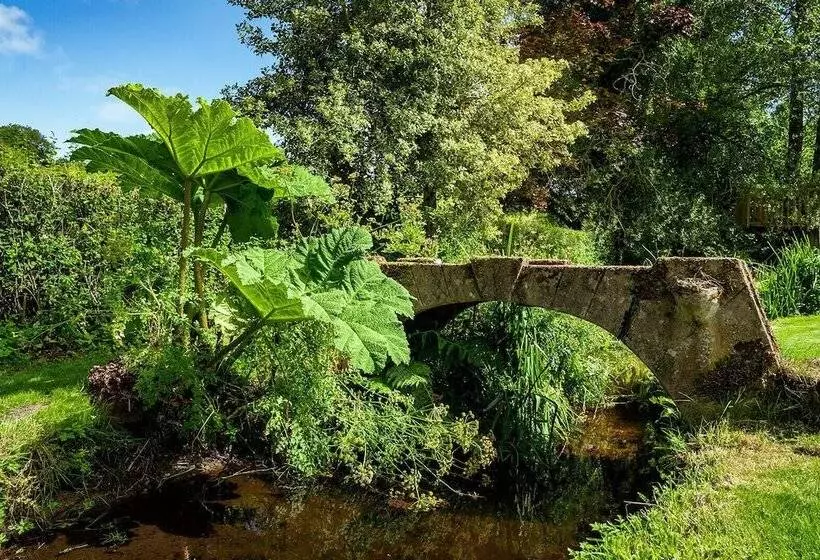Weeke Brook   Quintessential Thatched Luxury Devon Cottage