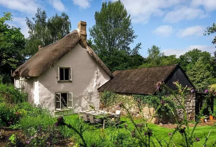 Weeke Brook   Quintessential Thatched Luxury Devon Cottage