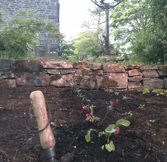 住宿加早餐 Black Lion Inn