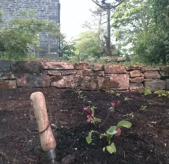 Aamiaismajoitus (B&B) Black Lion Inn