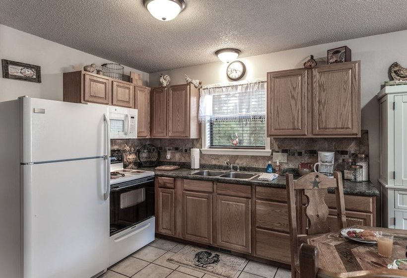 Horse Feathers By Vtrips