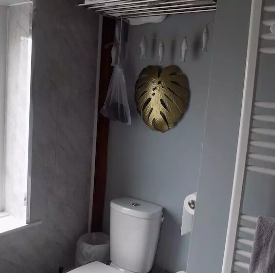 Hotelli Tracey S Driftwood