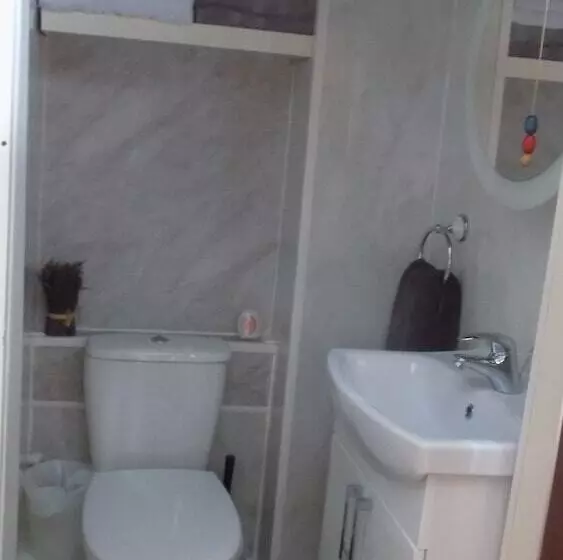 Hotelli Tracey S Driftwood