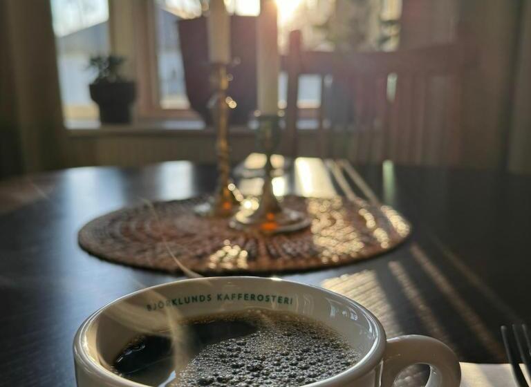 هتل L Gillet I Koping