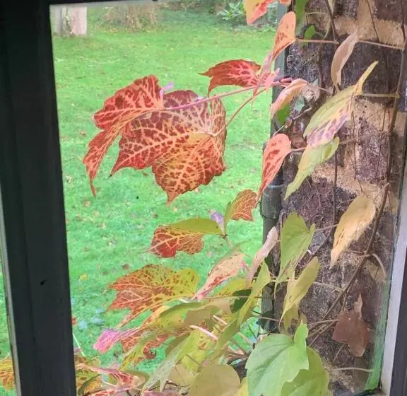 Majatalo Moulin De Champrond  Montmirail  Sarthe