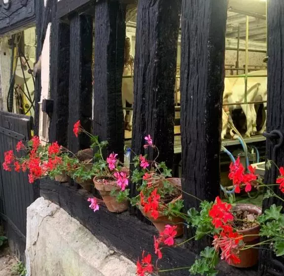 Majatalo Moulin De Champrond  Montmirail  Sarthe