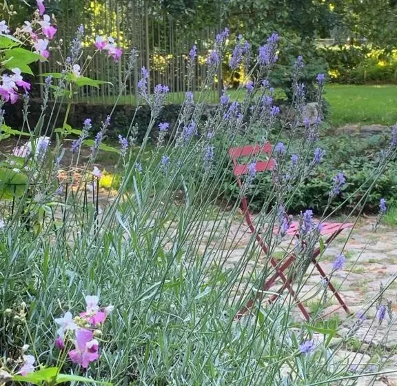 Majatalo Moulin De Champrond  Montmirail  Sarthe