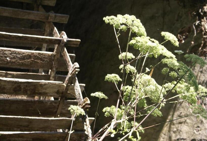 بنسيون Moulin De Champrond  Montmirail  Sarthe